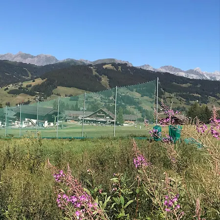 Au Pied Des Pistes Et Golf *